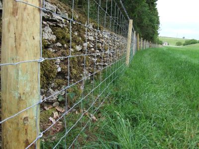 Stock Fence