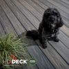 HD_Deck_Dual_CP_2