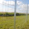 Clipex Fence