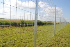 Clipex Fence