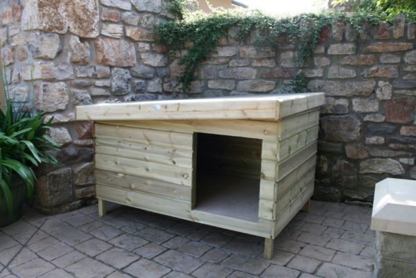 PDK-Pent-Dog-Kennel